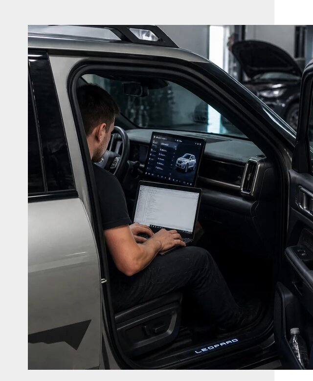 Русификация BYD Leopard 3 в Дмитрах по цене от 21333 р. | ФастМобиль-Дмв